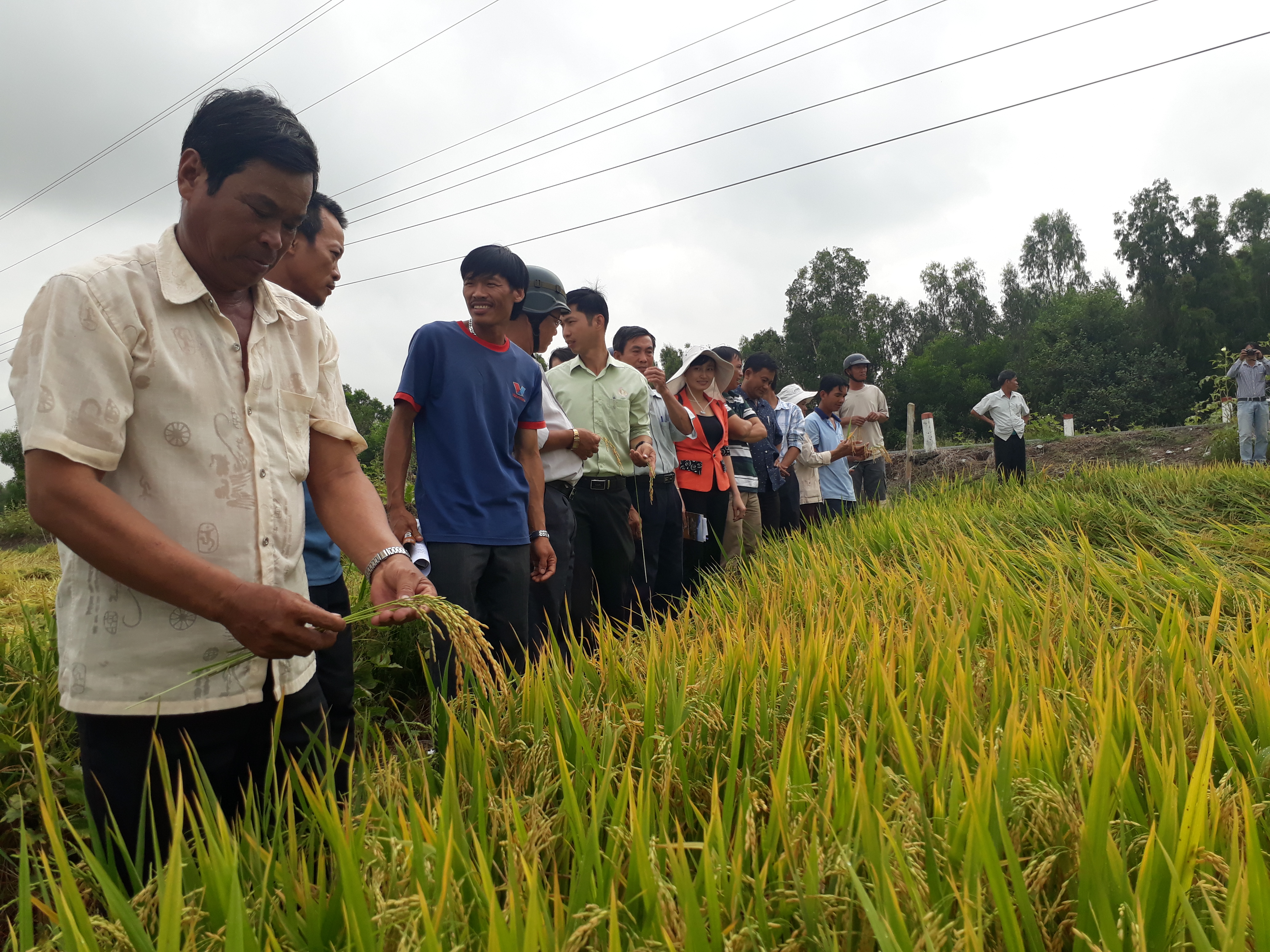 Trung tam Khuyen nong KG.jpg